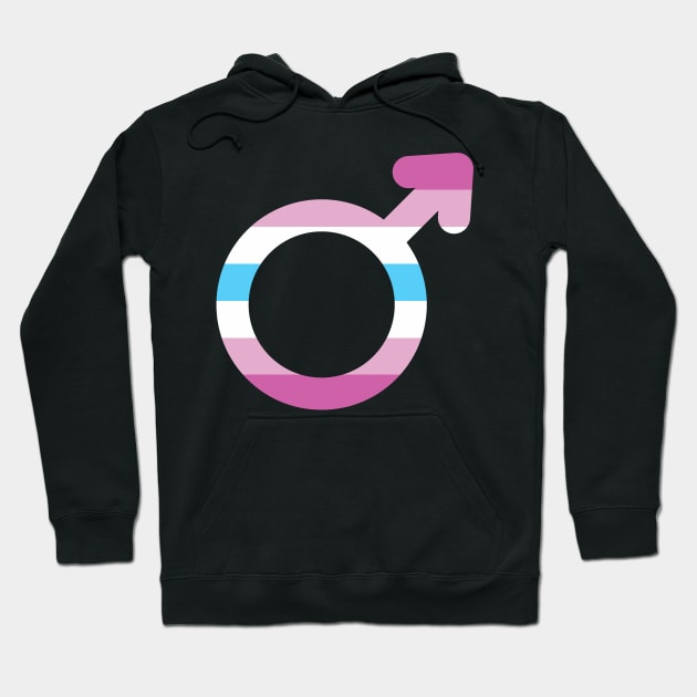 Femboy Male Gender Symbol with Femboy Striped Flag Hoodie by TenchiMasaki